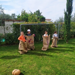 zucca13