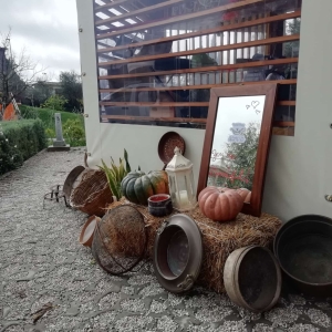 zucca2