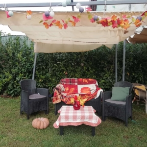 zucca3
