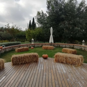 zucca8